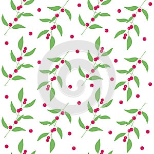 Seamless pattern branches and leaves of camu camu berries . Floral background. Vector photo