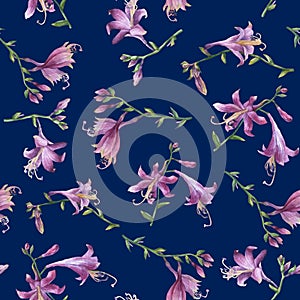 Seamless pattern with branches purple hosta flower. Lilies. Hosta ventricosa minor, asparagaceae family.