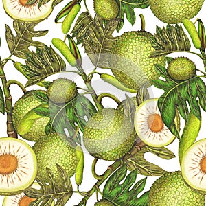 Seamless pattern of breadfruit illustration