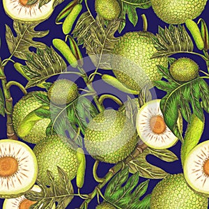 Seamless pattern of breadfruit illustration