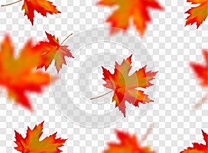 Seamless pattern with bright orange yellow red blurred falling maple leaves isolated on transparent background. Seasonal banner,