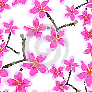 Seamless pattern with bright pink flowers. Floral dÃ©cor of plumeria branch.