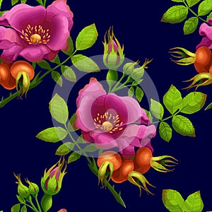 Seamless pattern of bright rose
