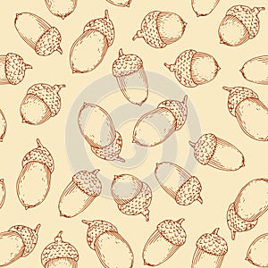 Seamless Pattern with Acorn