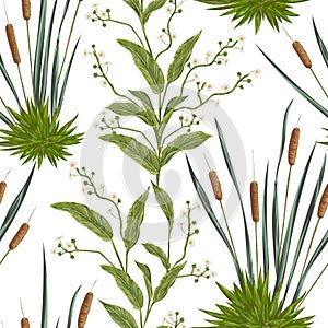 Seamless pattern with bulrush and swamp plants.