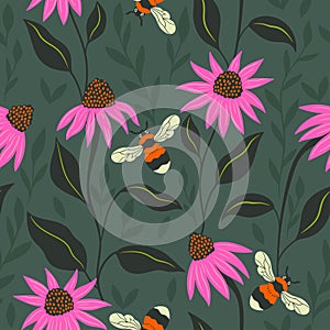 Seamless pattern with bumblebees and echinacea flowers. Vector graphics