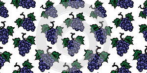 Seamless pattern, bunch of grapes with leaves, wine vine, doodle hand drawing, colorful elements on white background
