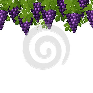 Seamless pattern from the bunches of grapes with leaves