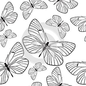 Seamless pattern with butterflies