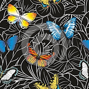 Seamless pattern with butterflies on an abstract floral black background.