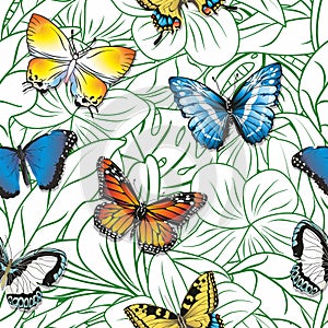 Seamless pattern with butterflies on an abstract floral white background.