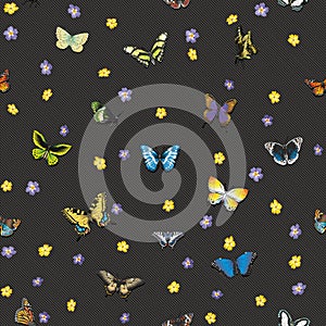 Seamless pattern with butterflies and flowers on a striped black background.