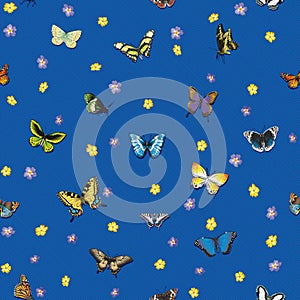 Seamless pattern with butterflies and flowers on a striped blue background.