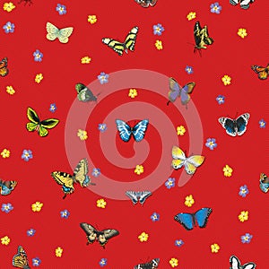 Seamless pattern with butterflies and flowers on a striped red background.