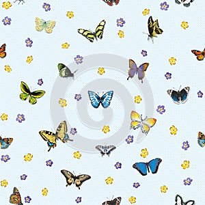 Seamless pattern with butterflies and flowers on a striped white background.