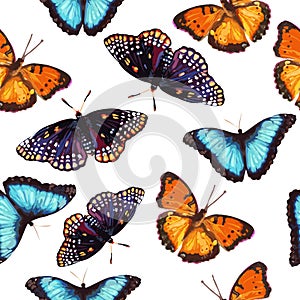 Seamless pattern of butterfly