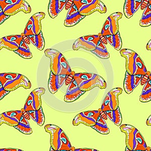 Seamless pattern Butterfly Attacus Atlas peacock eye. vector