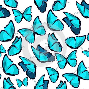 seamless pattern the butterfly blue morpho monarch vector illustration