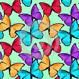 Seamless pattern the butterfly blue morpho monarch vector illust