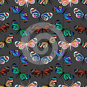 Seamless pattern with butterfly Greta Oto