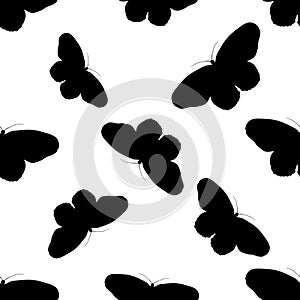 Seamless pattern with butterfly Idea Leuconoe. Paper Kite . hand-drawn paperkite butterfly . Vector