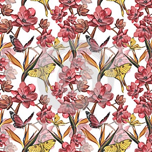 Seamless pattern butterfly, red flower, strelitzia isolated on white. Watercolor hand drawn illustration. Art for design