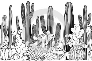 Seamless pattern with cactus. Wild cactus forest