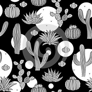 Seamless pattern with cactus. Wild cactus forest with doodle circles. Stylish grey, black, and white palette