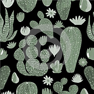 Seamless Pattern Cactuses hand-painted illustration on black background. Exotic desert plant Inroom plant for home decor. Vector