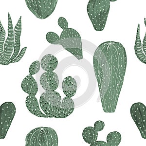 Seamless Pattern Cactuses hand-painted illustration on white background Exotic desert plant. Inroom plant for home decor