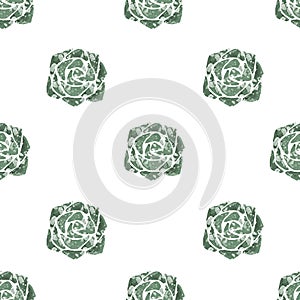 Seamless Pattern Cactuses succulent hand-painted illustration on white background Exotic desert plant. Inroom plant for