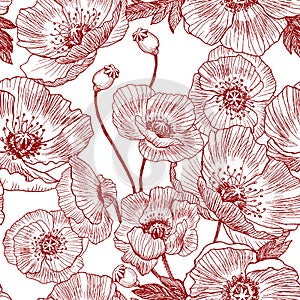 Seamless pattern. California poppy flowers drawn and sketch with line-art on white backgrounds. Vector design