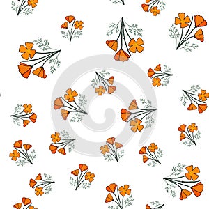 Seamless pattern with californian poppy