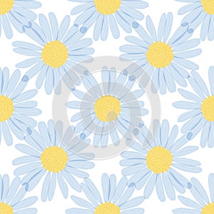 Seamless pattern - camomiles on white background