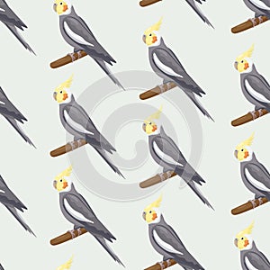 Seamless pattern with cartoon grey cockatiels sitting on branches. Flat little colorful exotic Australian parrots