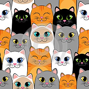 Seamless pattern with cats. Background with gray, white, black, ginger and siamese kittens