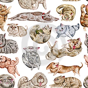 Seamless pattern with cats and dogs. Cute funny characters, emotions and feelings.