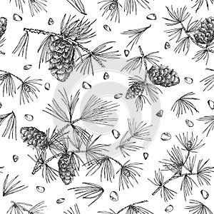 Seamless pattern with cedar branches and pinecones isolated on white background