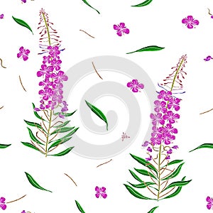 Seamless pattern in Chamerion angustifolium wild flowers. Delicate bouquets. Liberty style millefleurs. Floral