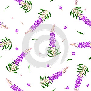 Seamless pattern in Chamerion angustifolium wild flowers. Delicate bouquets. Liberty style millefleurs. Floral