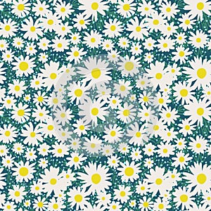 Seamless pattern with chamomile flower on a blue background