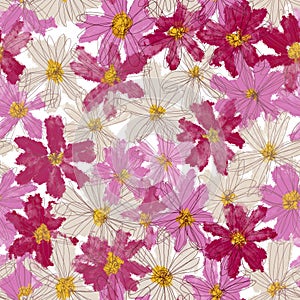 Seamless pattern of chamomile flowers, cosmos. Design for fabric, clothes, paper.