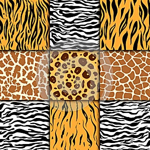 Seamless pattern with cheetah skin. vector background. Colorful zebra and tiger, leopard and giraffe exotic animal print