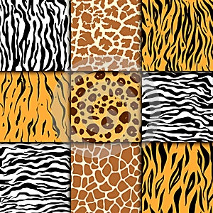 Seamless pattern with cheetah skin. vector background. Colorful zebra and tiger, leopard and giraffe exotic animal print