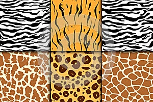 Seamless pattern with cheetah skin. vector background. Colorful zebra and tiger, leopard and giraffe exotic animal print