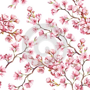 Seamless pattern with cherry blossoms. Watercolor illustration.