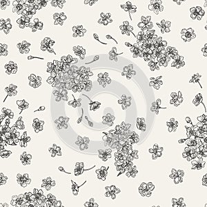 Seamless pattern with cherry flowers