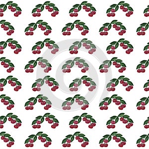 Seamless pattern with cherry with leaf watercolor hand draw ill