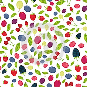 Seamless pattern with Cherry Strawberry Raspberry Blackberry Blueberry Cranberry Cowberry Goji Grape isolated on white