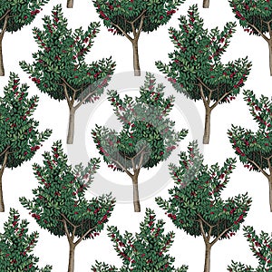 Seamless pattern with cherry trees